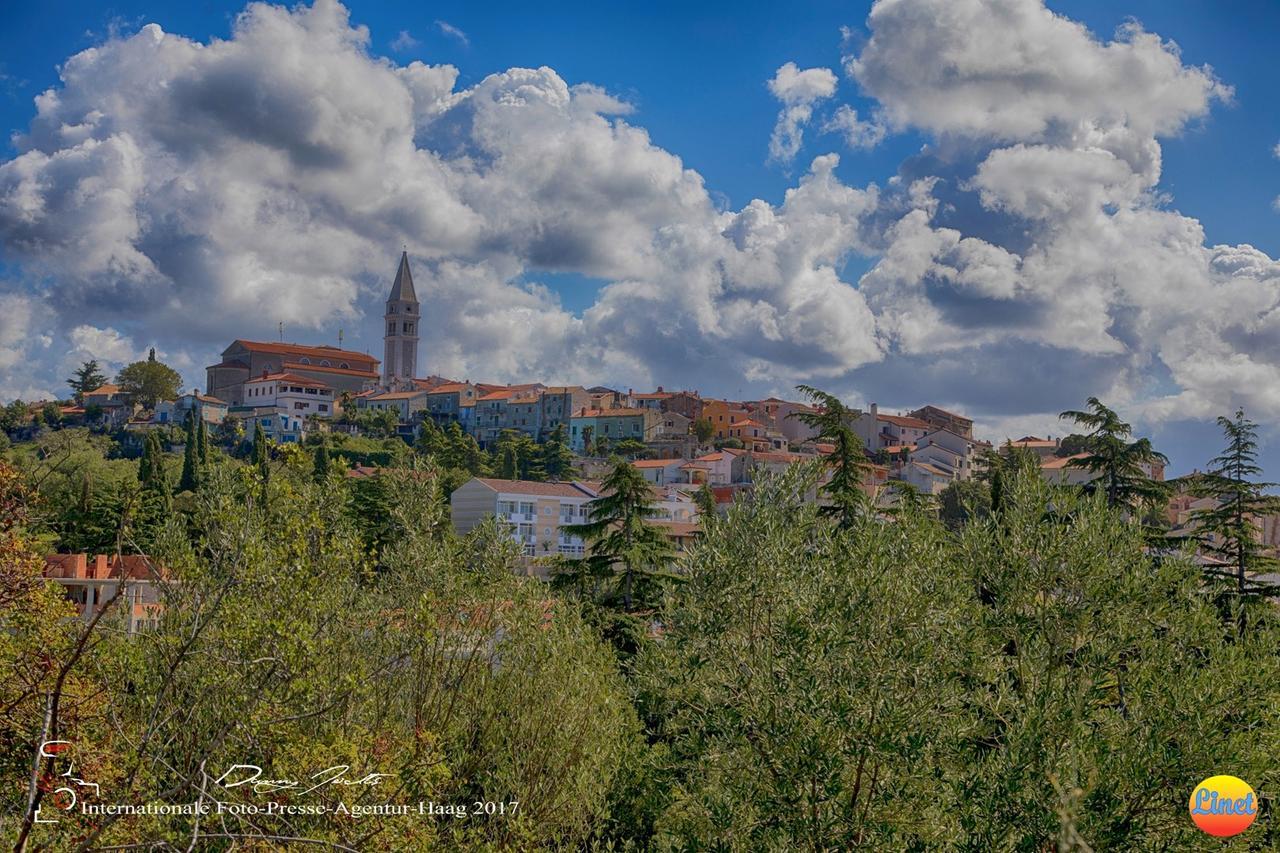 Apartment Davorka Vrsar Zewnętrze zdjęcie